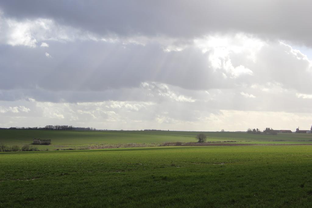 Gites A L'Ombre Des Chenes Châteauvieux Exterior foto